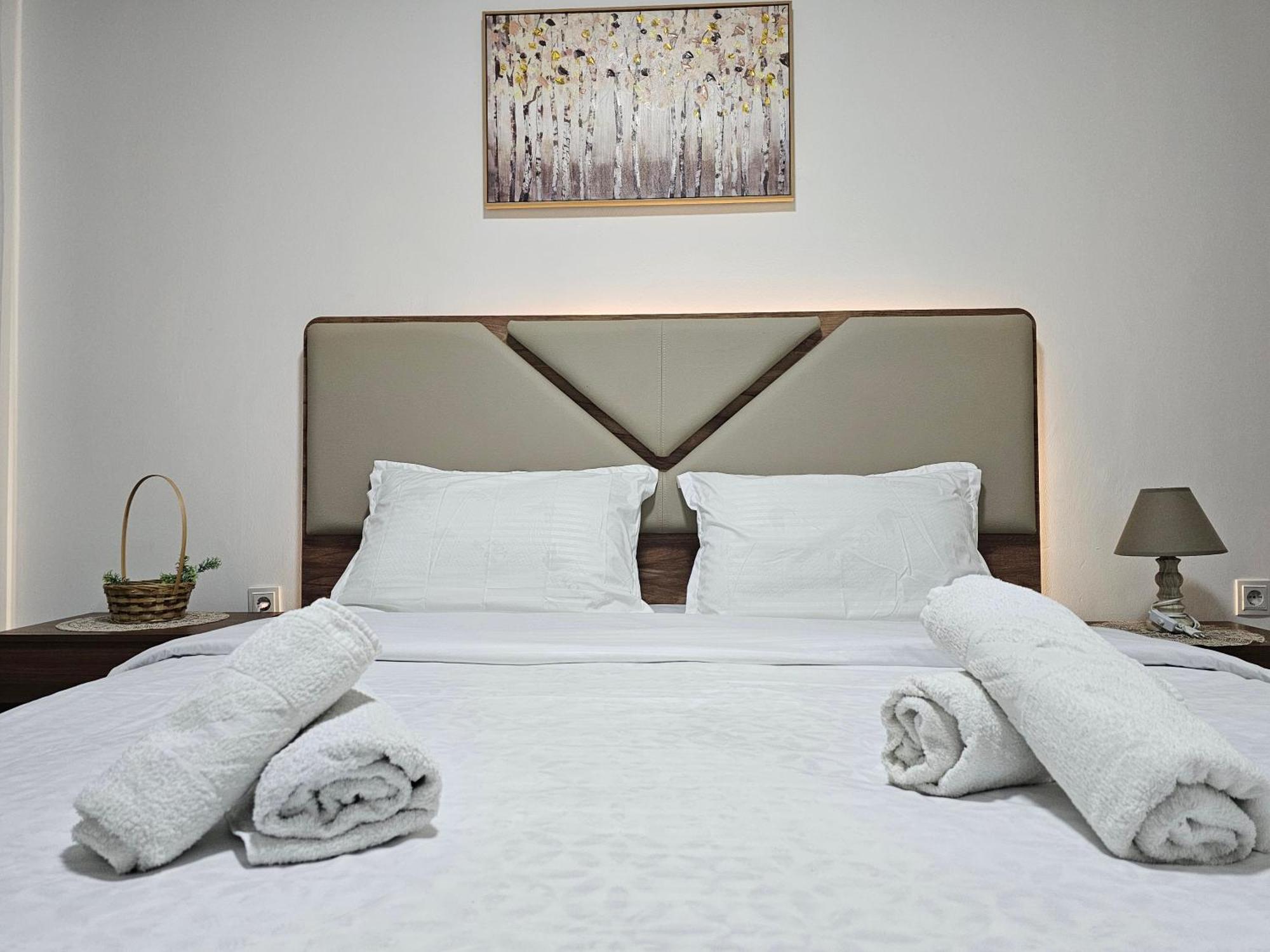 Superb 1 Bedroom In The Best Zone Of The City. Ferizaj Exterior photo